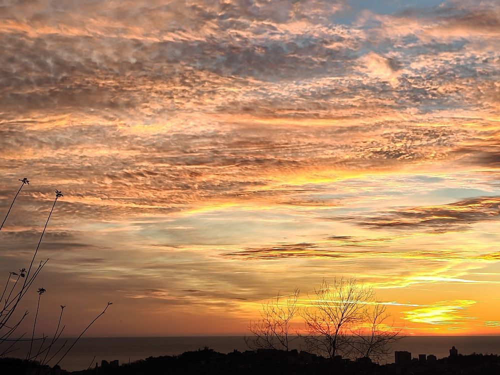 Photograph by Антонина Завальнюк