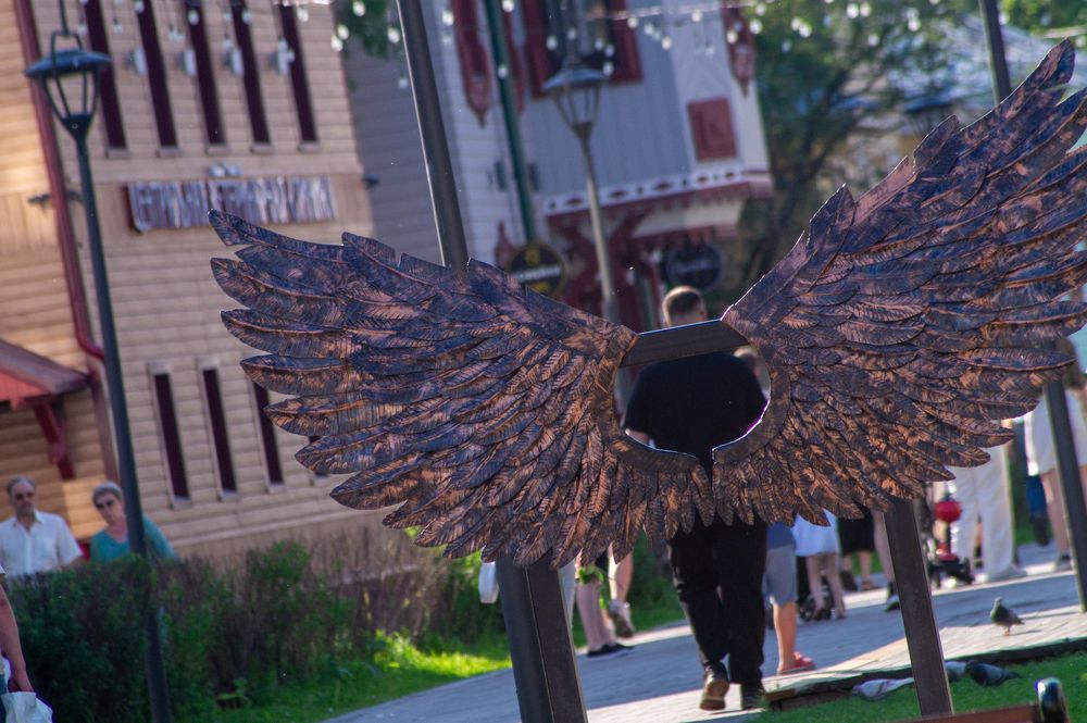 Фотография автора Евгений Шубин