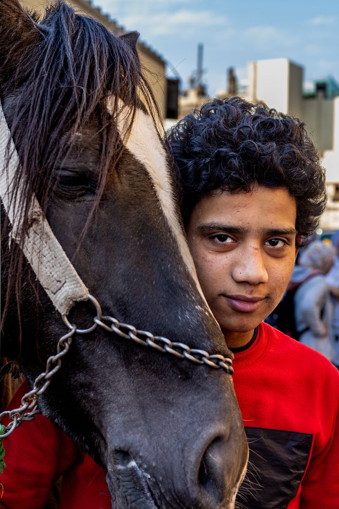 Photograph by Kiroo Medhat