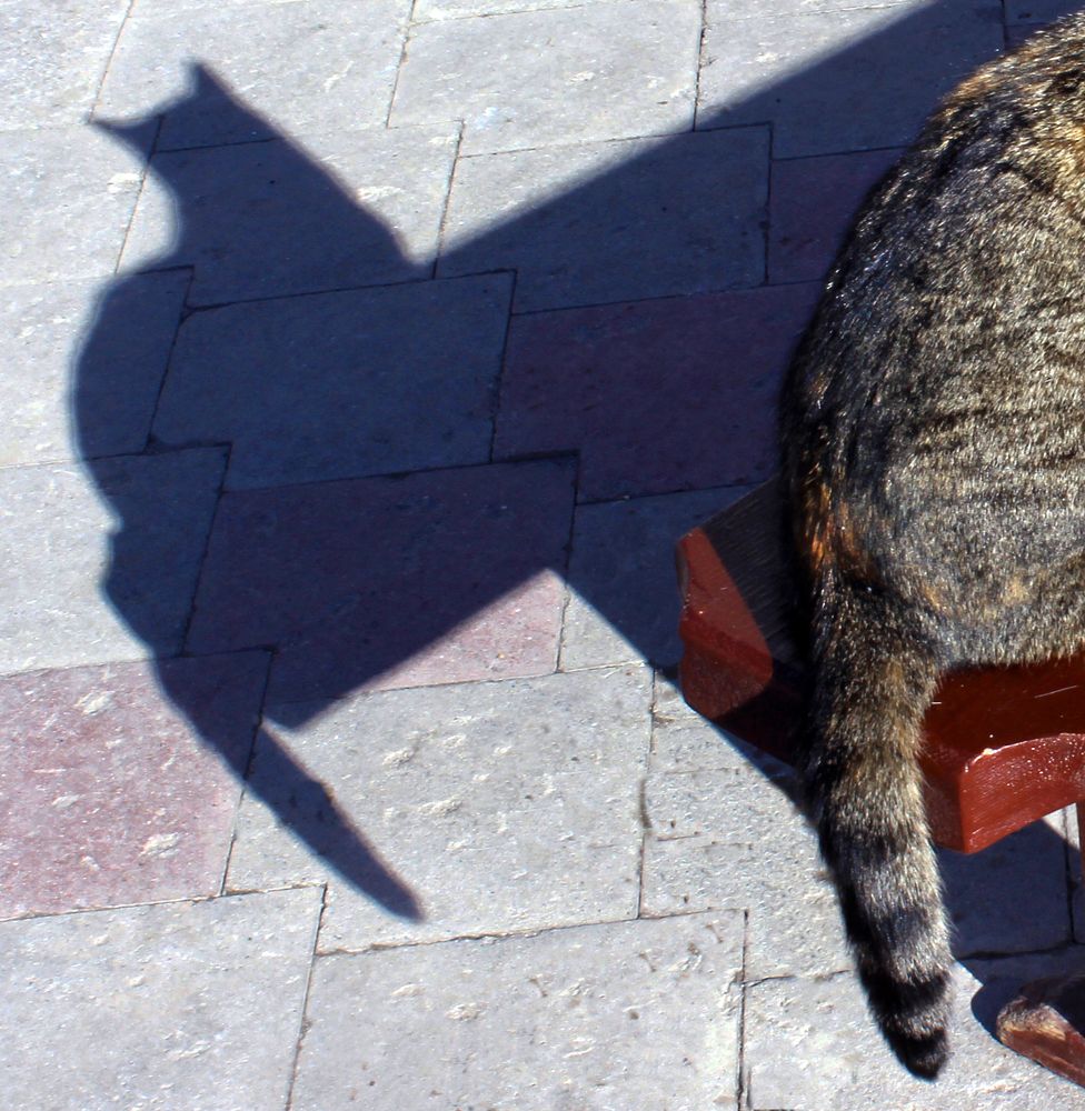 Фотография автора Татьяна Сергиенко