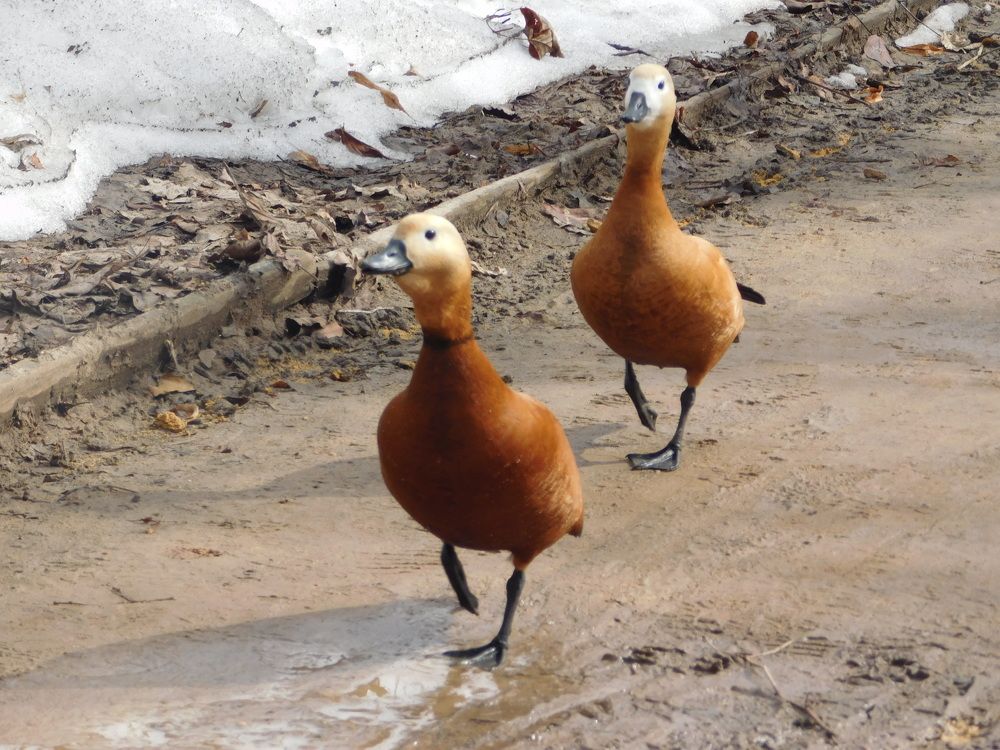 Photograph by Светлана Андреева