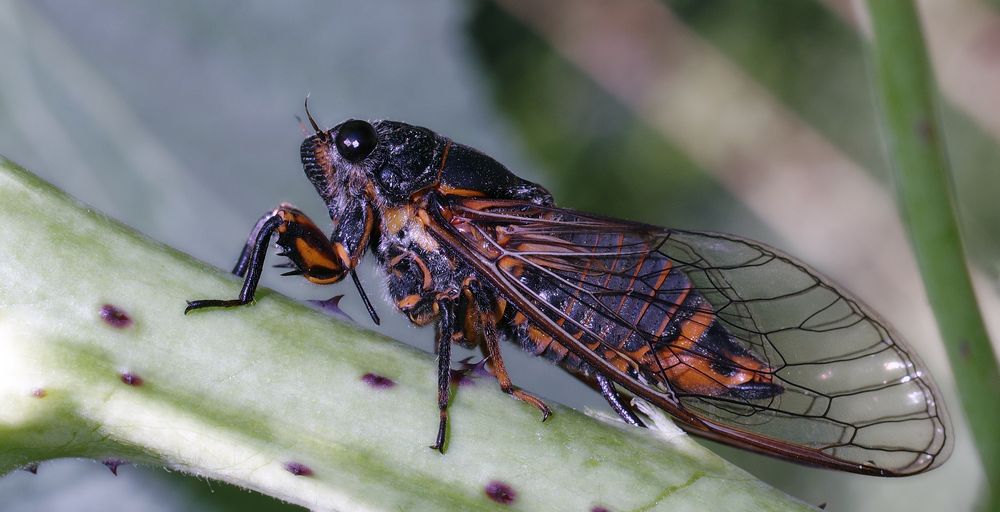 Фотография автора Сергей Гречихин