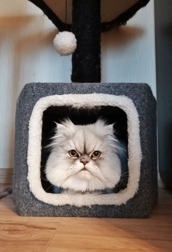 Photograph by Margareth Tikhonova