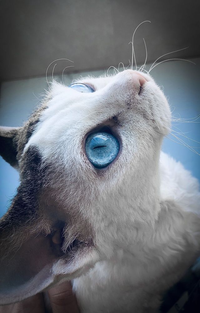 Photograph by Агнес