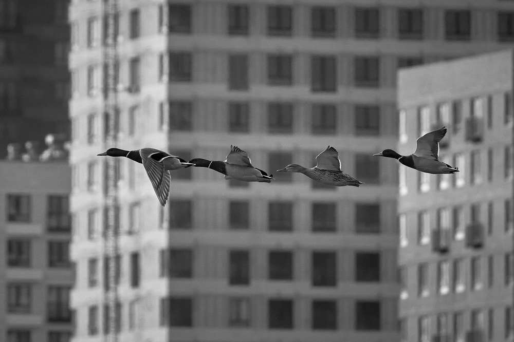 Photograph by Mikhail Khmelevskiy