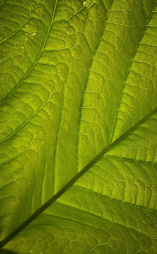 Фотография автора Michael Gault