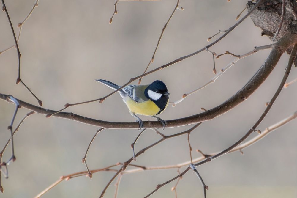 Photograph by Наталья Михалина