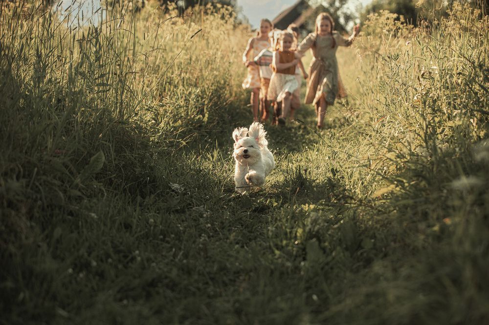 Photograph by Ирина Платонова