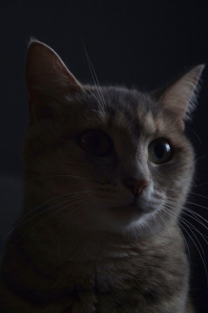 Photograph by гульназ замалеева