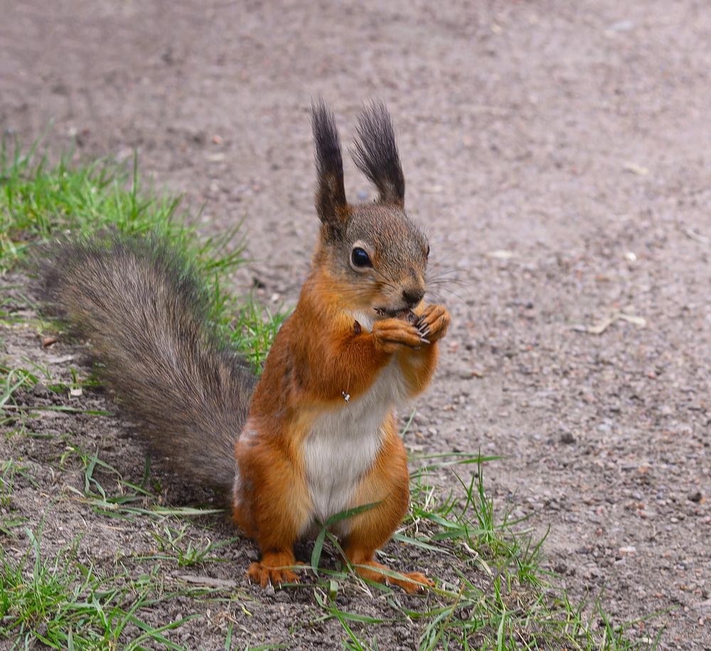 Photograph by Татьяна Михайловна