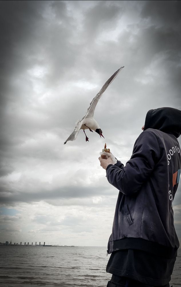 Photograph by Агнес