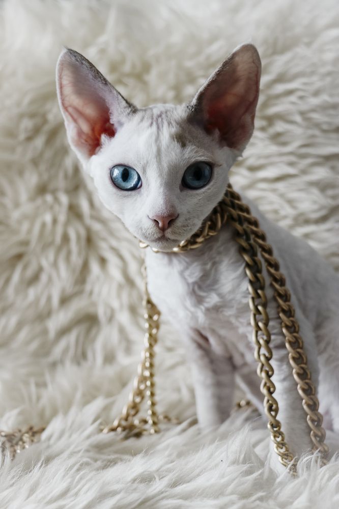 Photograph by Агнес