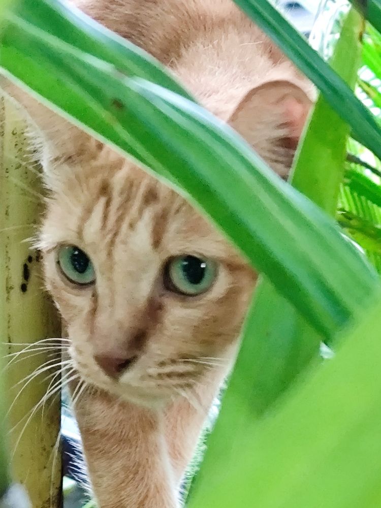 Photograph by Наталья