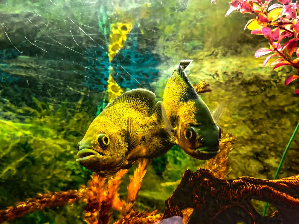 Photograph by Сергей Нестеров