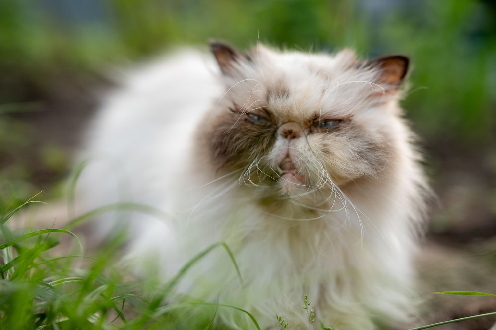 Photograph by Екатерина Каминская