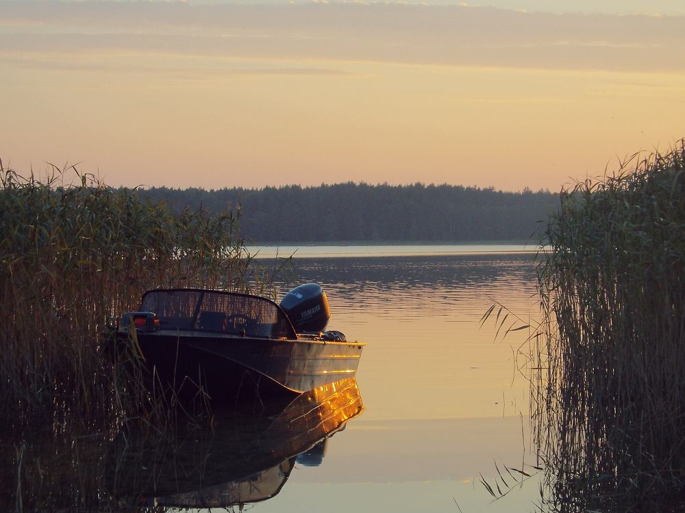 Photograph by Анастасия Селява