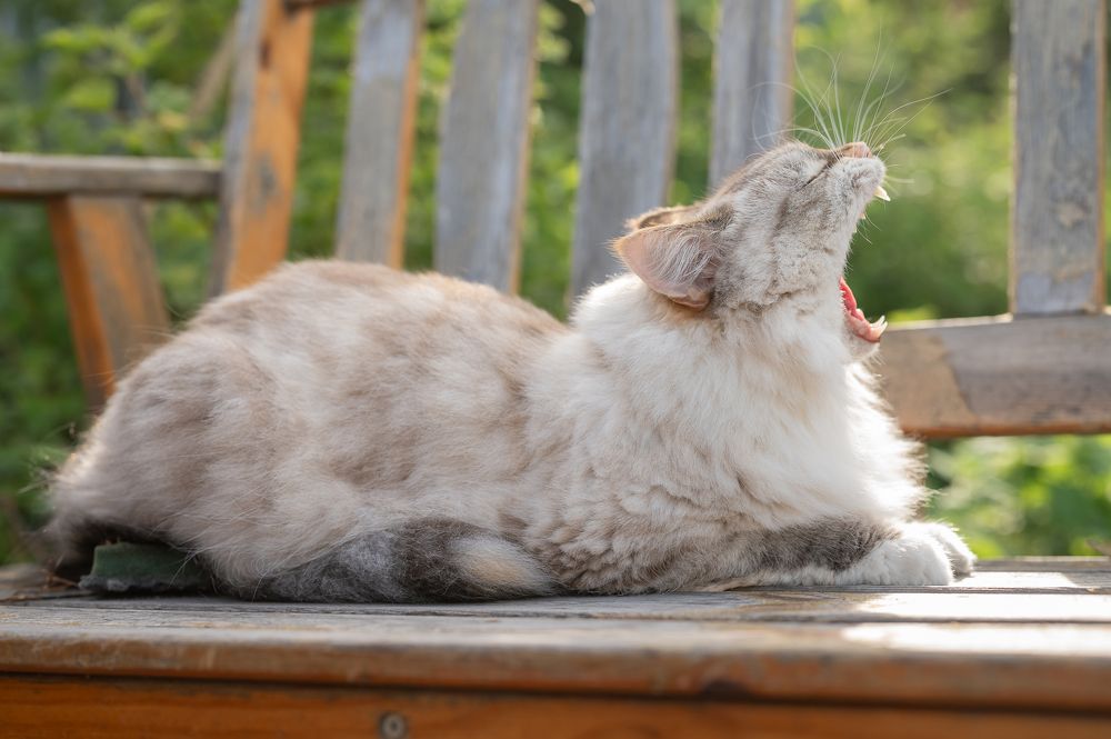 Photograph by Екатерина Каминская