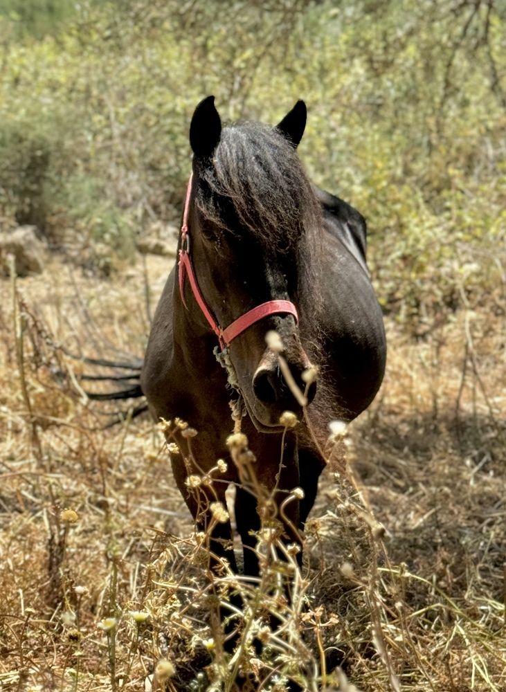 Photograph by Елена