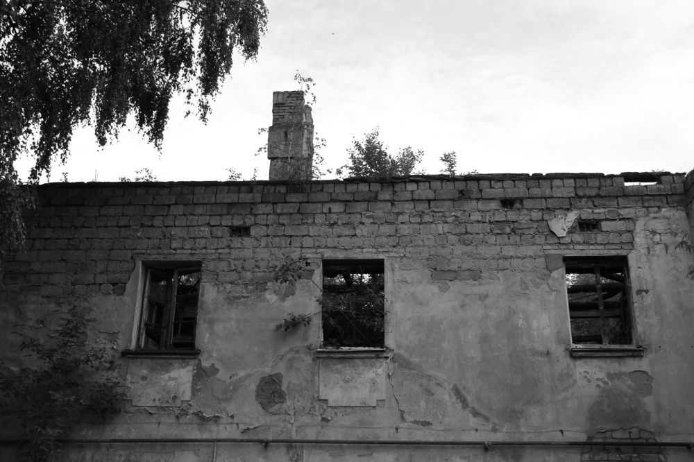 Photograph by Александра Пушнова