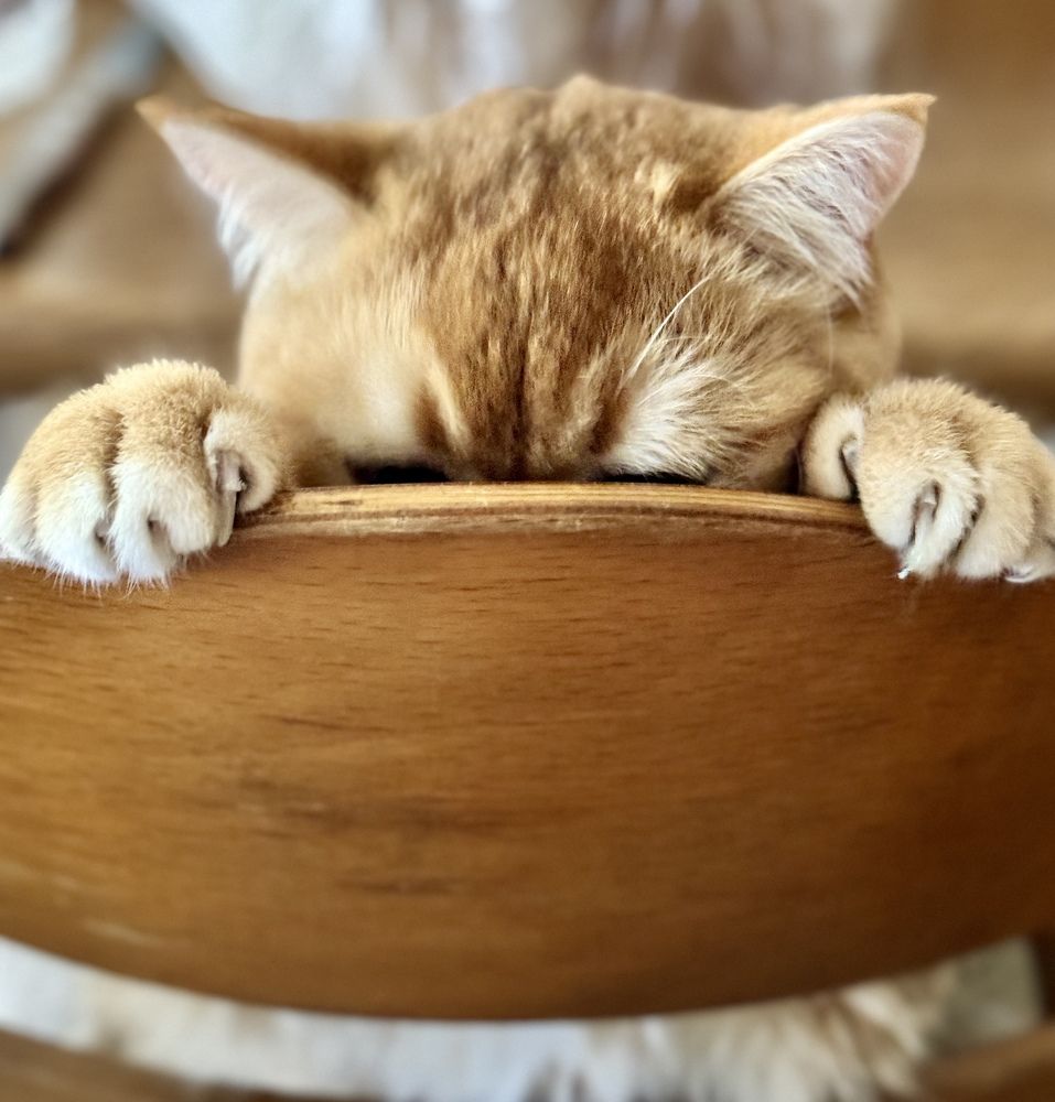 Photograph by Елена