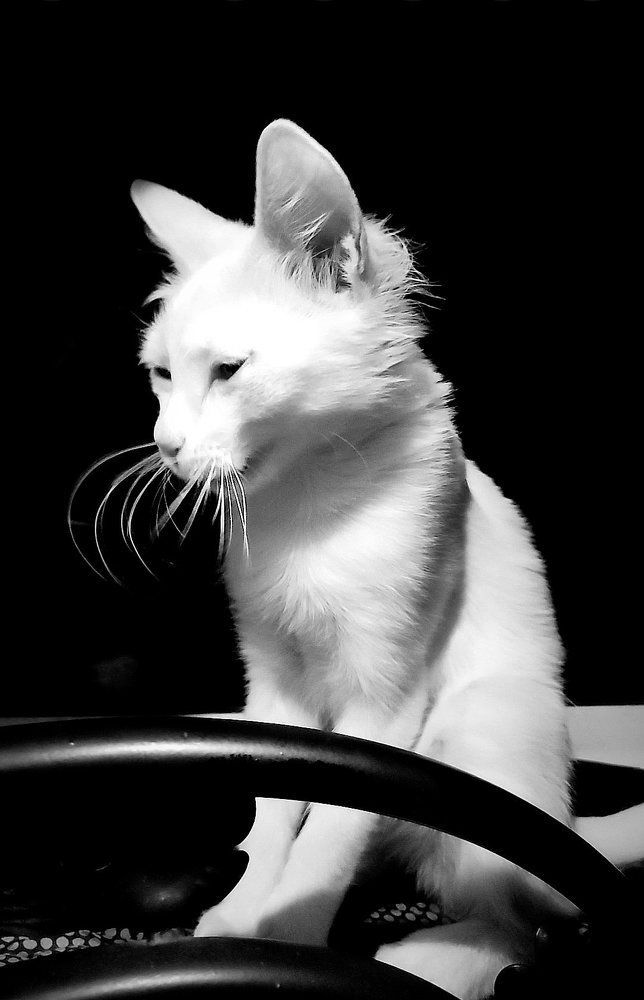 Photograph by Катя