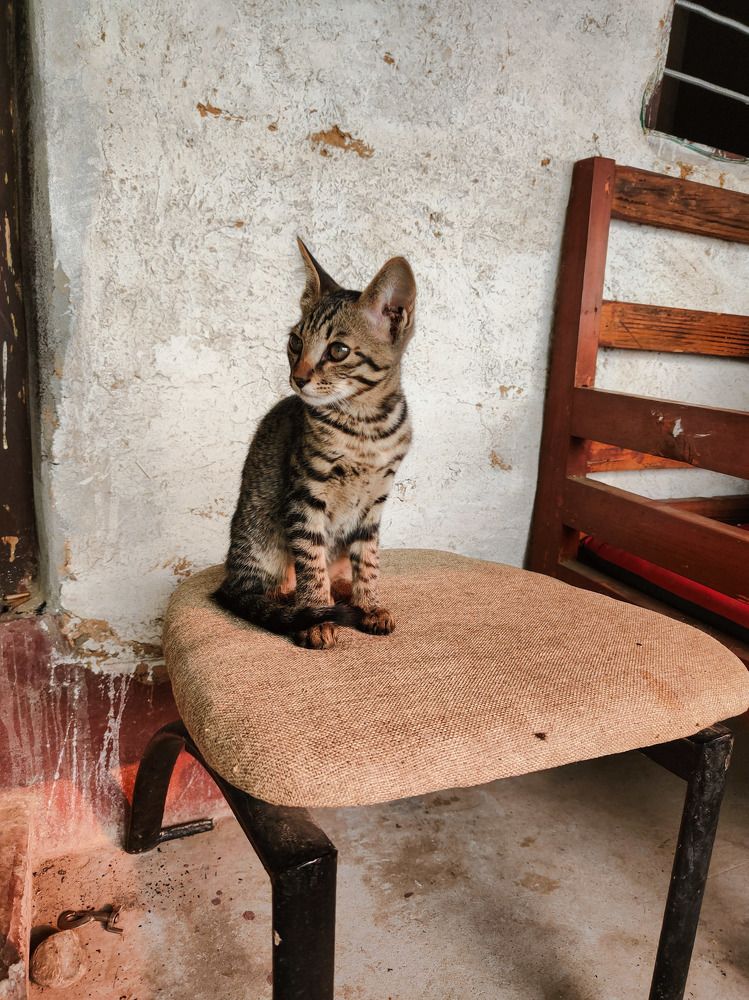 Photograph by Катя