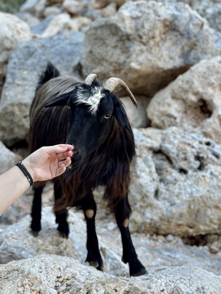 Photograph by Елена