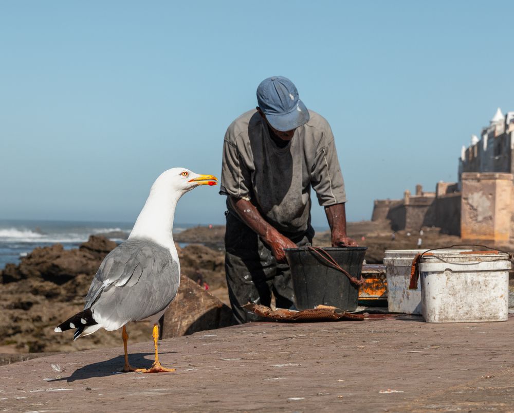 Photograph by Елена Захарова