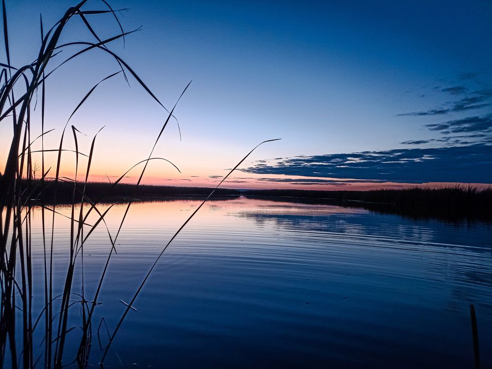 Photograph by Людмила