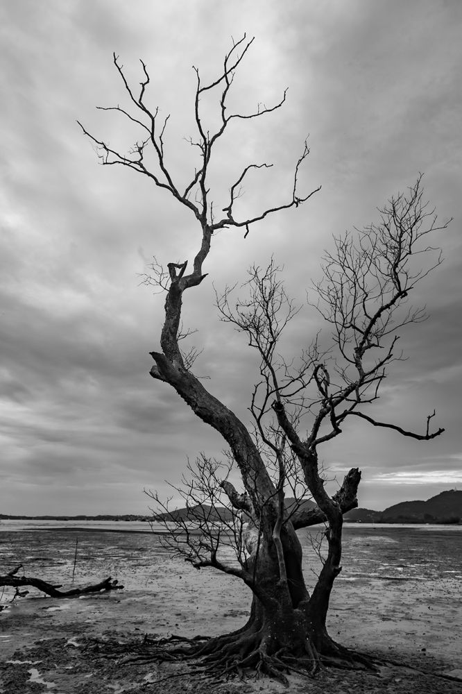 Photograph by Andrei Iemelianov