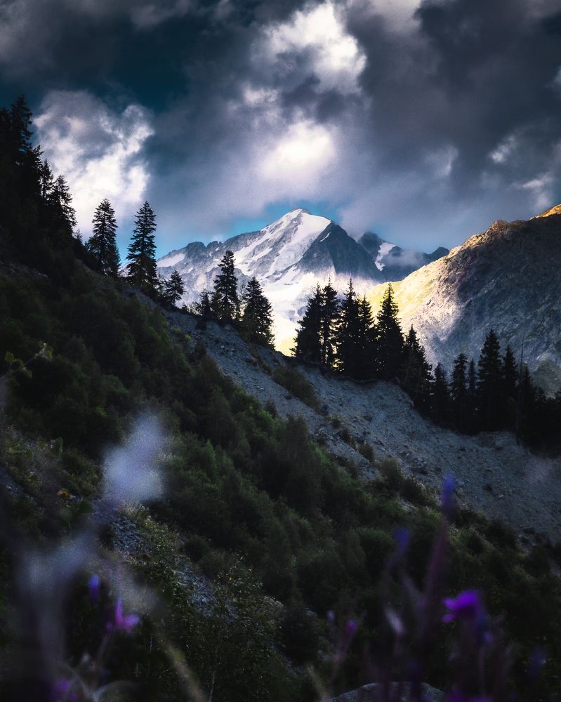 Photograph by Vladimir