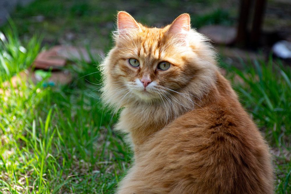 Photograph by Людмила