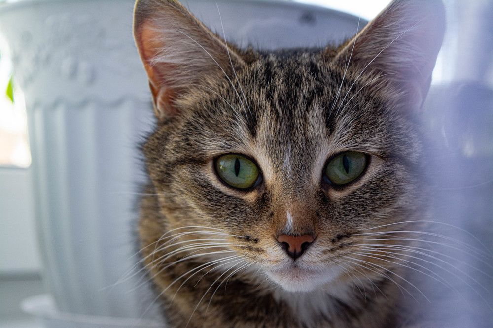 Photograph by Людмила