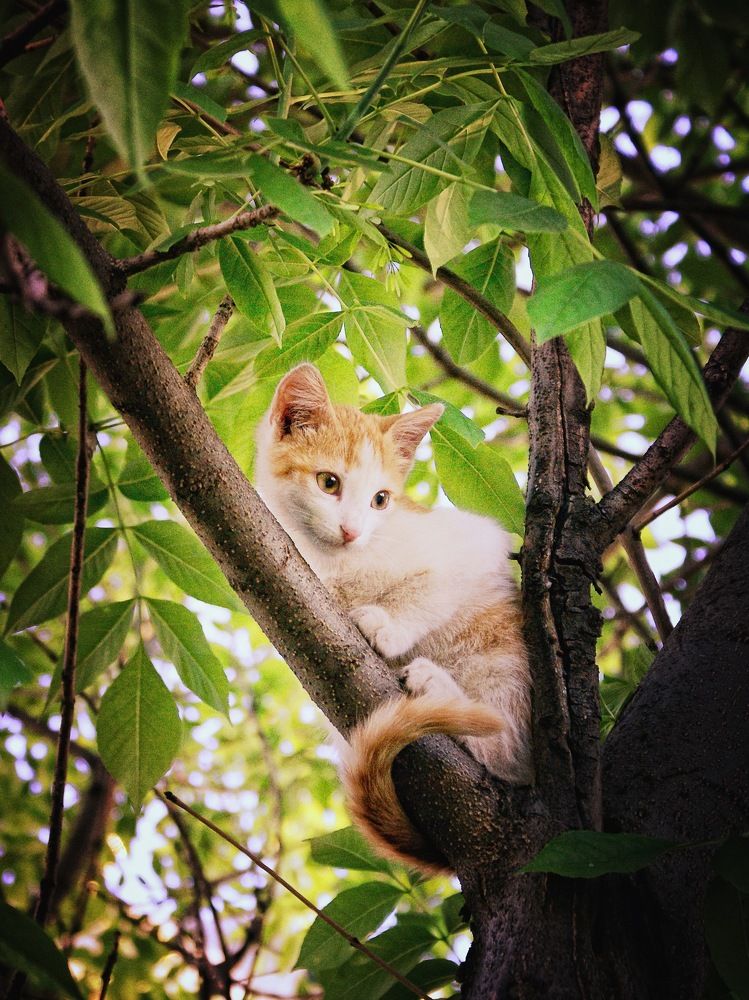 Photograph by Алексей Вирусян