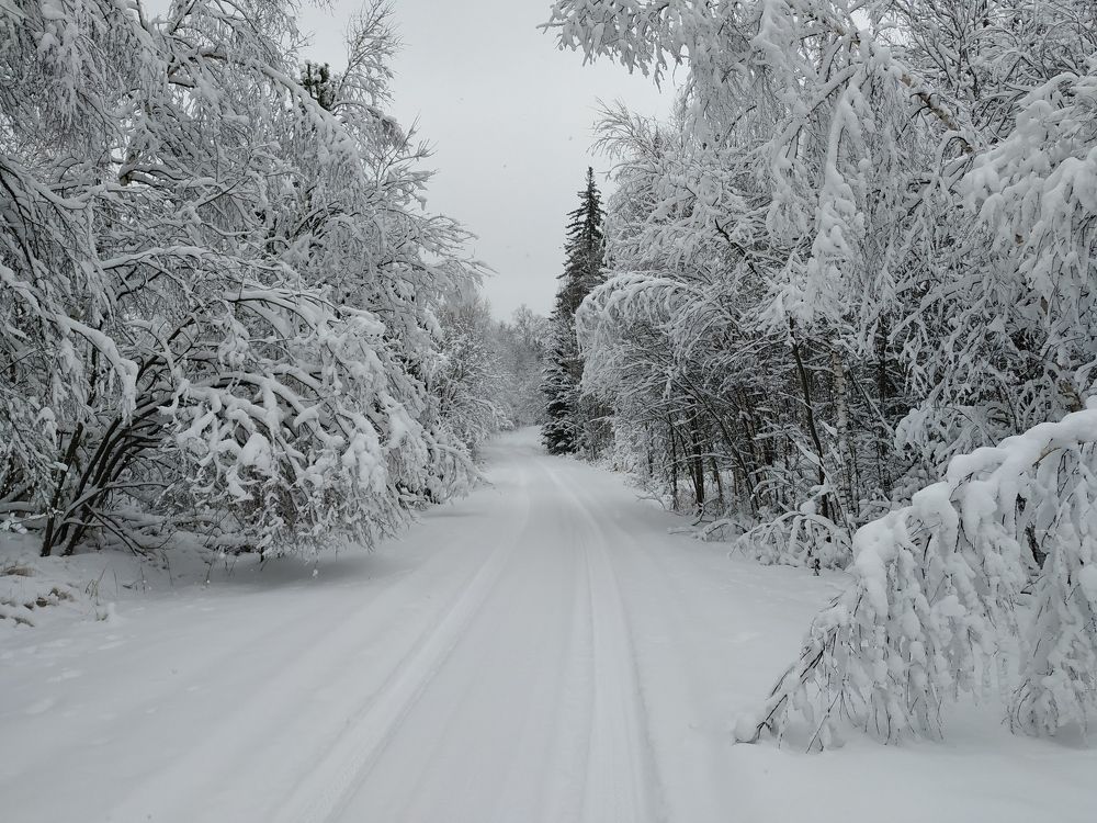 Photograph by Natalia