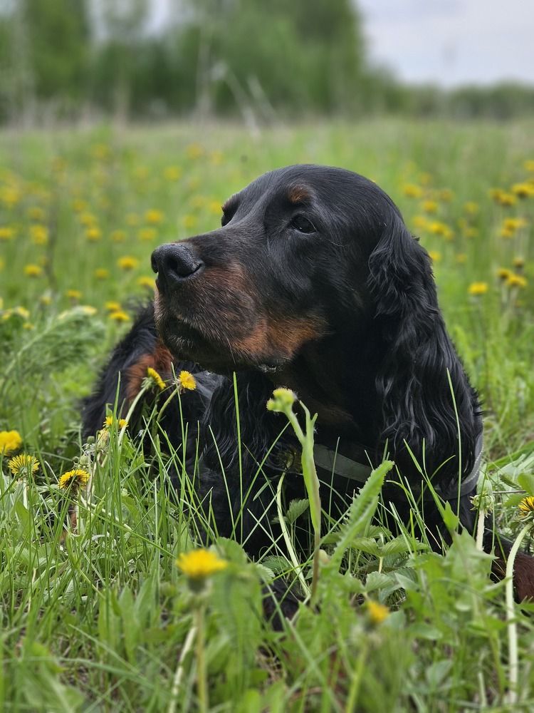 Photograph by Ольга Ченцова