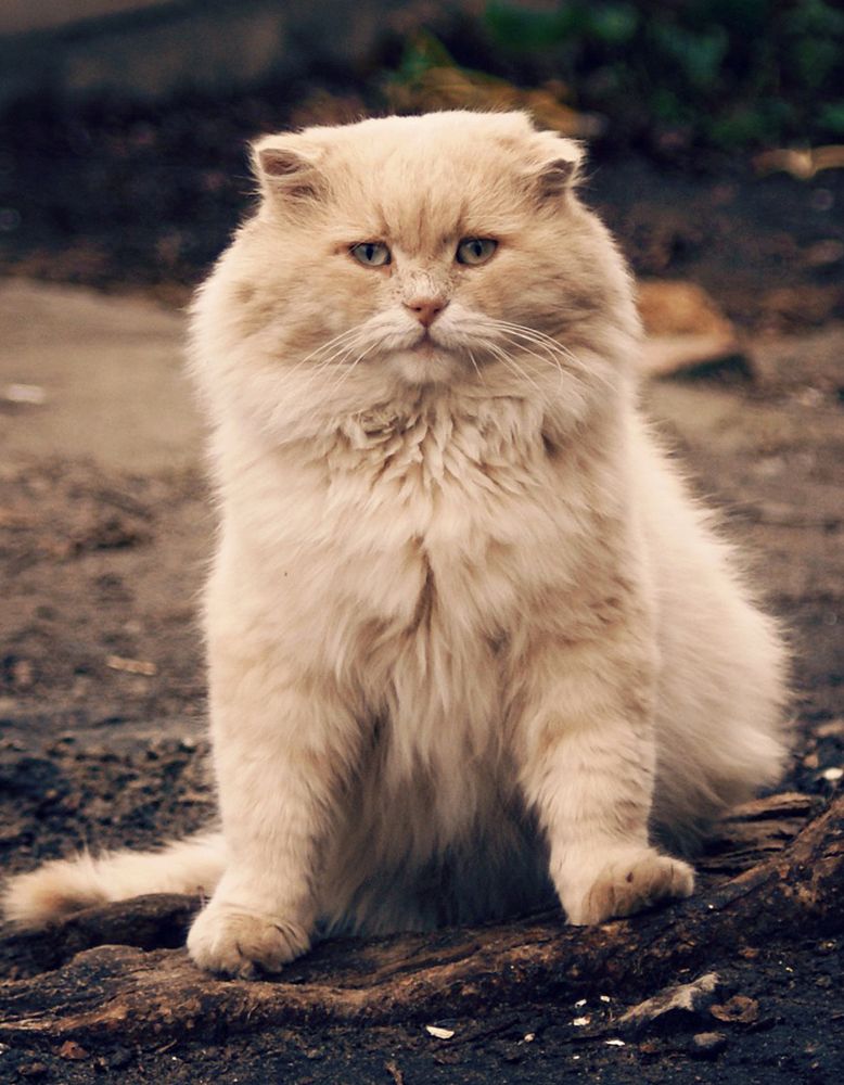 Photograph by Алексей Вирусян