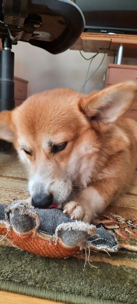 Photograph by Аркадий