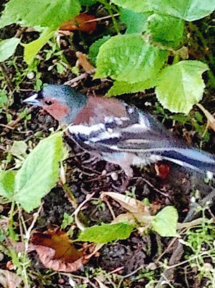 Photograph by Анна Андреевна