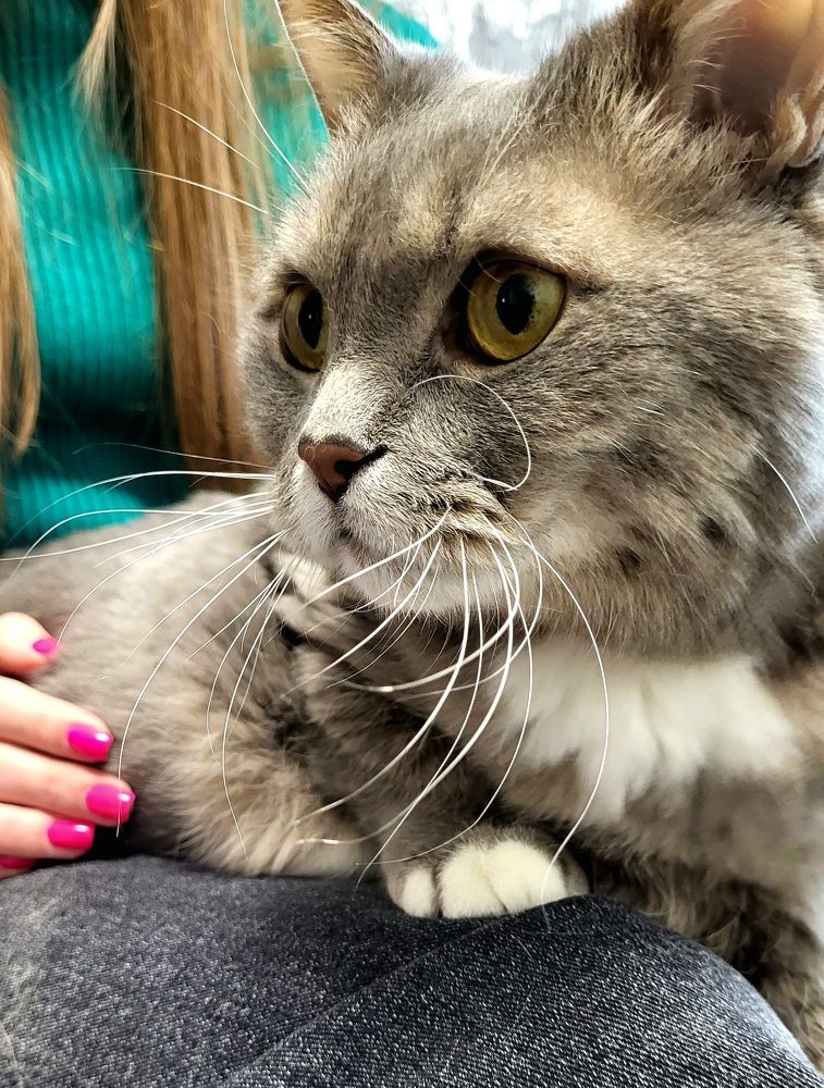 Photograph by Dmitrij Zykunov