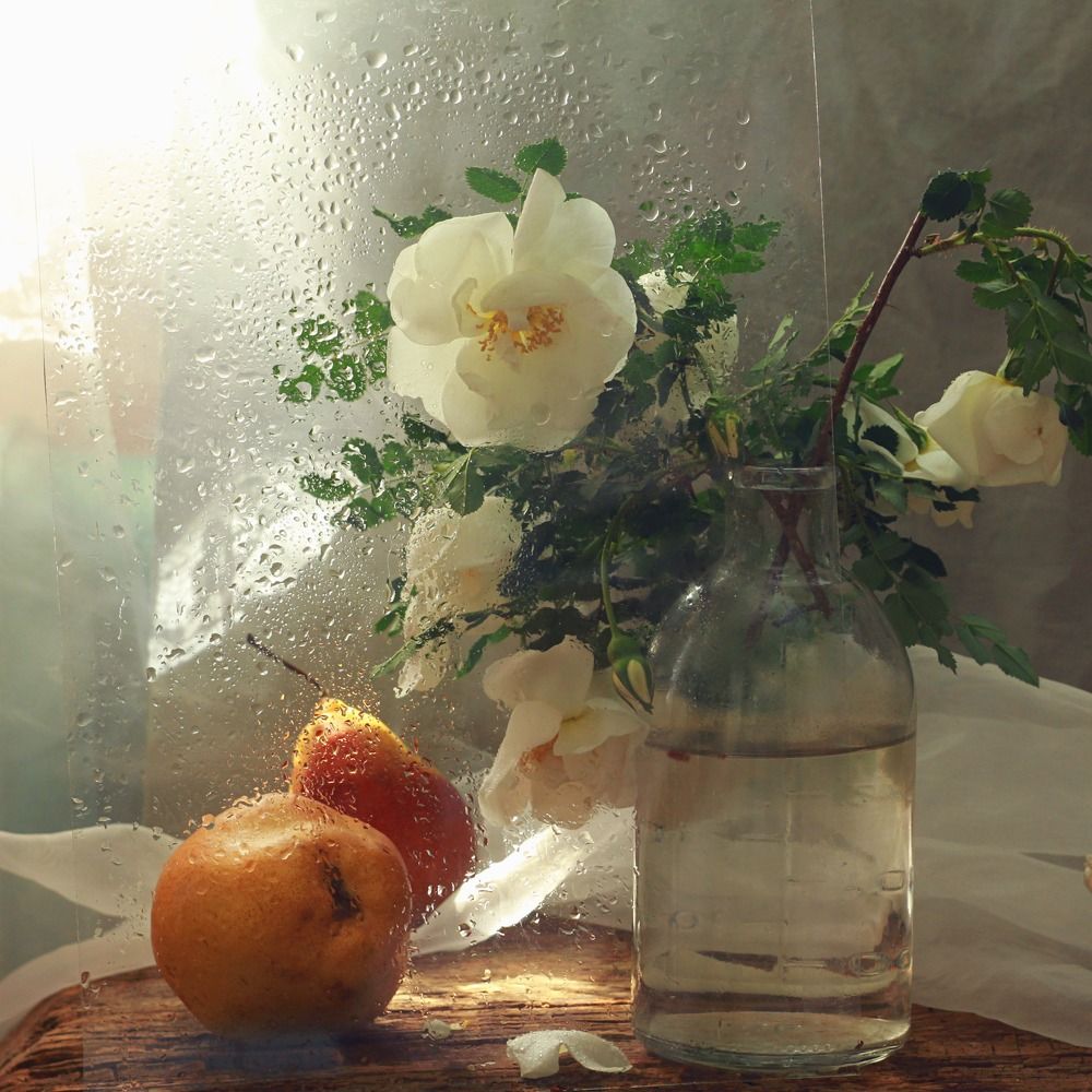 Photograph by Евсеева Валентина