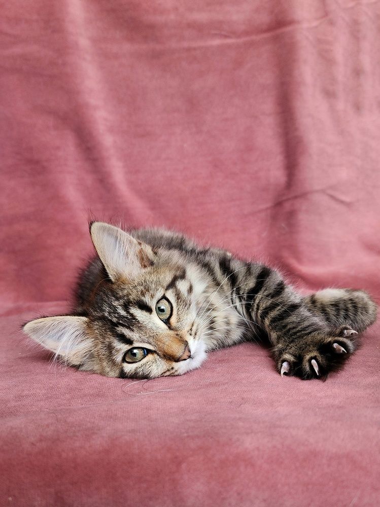 Photograph by Ольга Воронцова