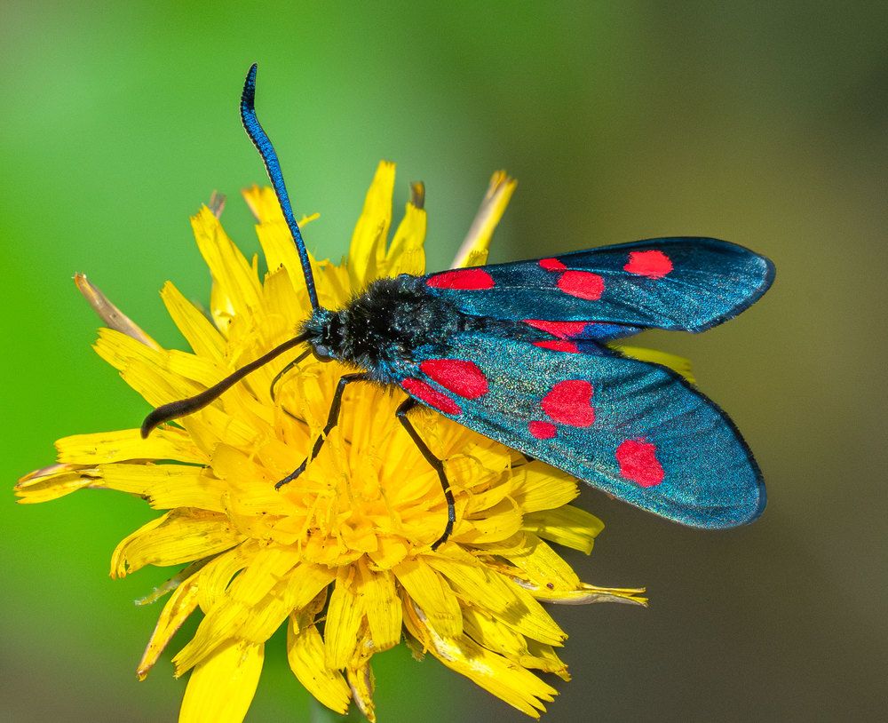 Photograph by Viktor Makarov