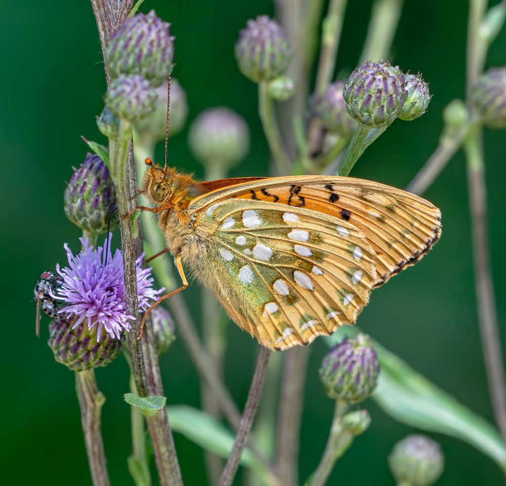 Photograph by Viktor Makarov
