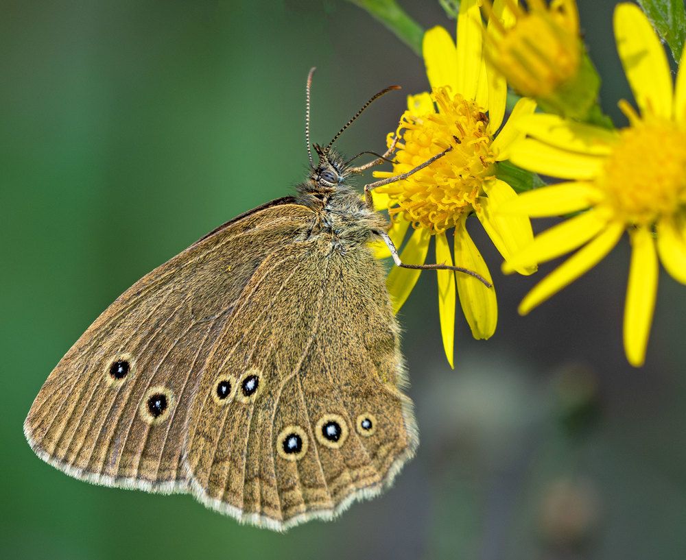Photograph by Viktor Makarov
