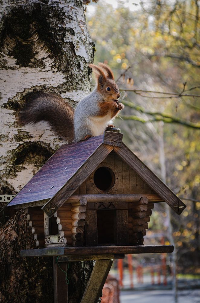 Photograph by Иван Достовалов