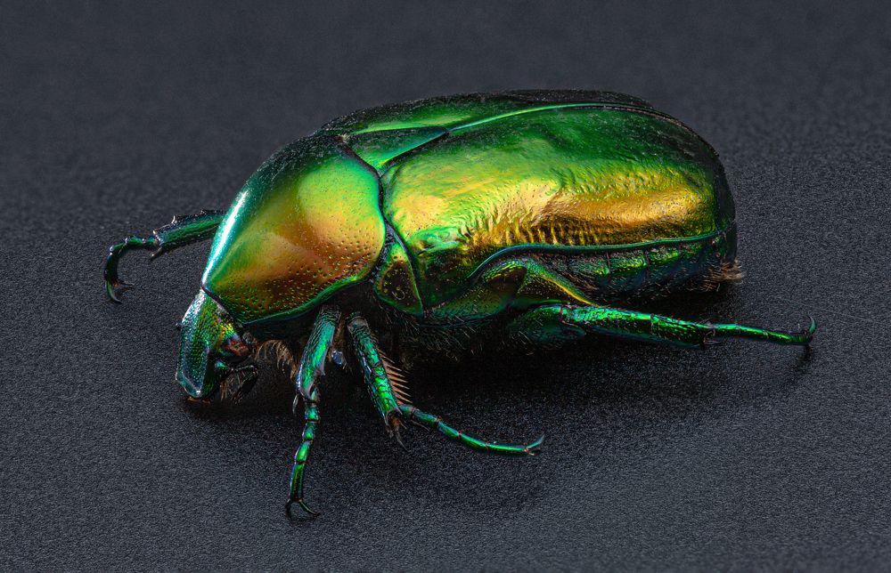 Photograph by Дёгтев Евгений