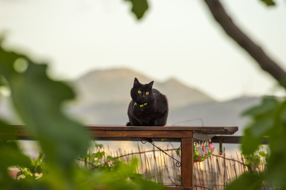 Photograph by Евгений Цапенко