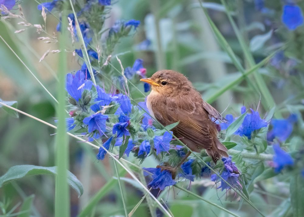 Photograph by Тамара Вотинцева