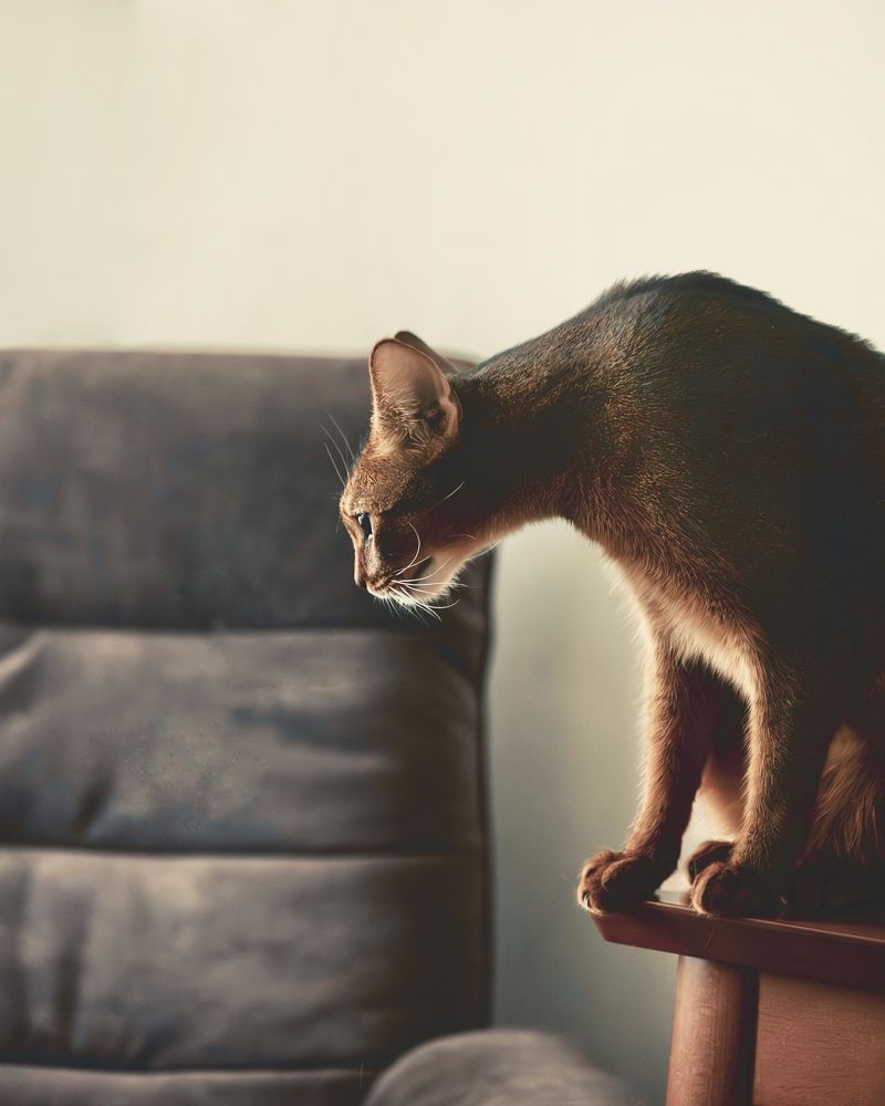 Фотография автора Galina Sa